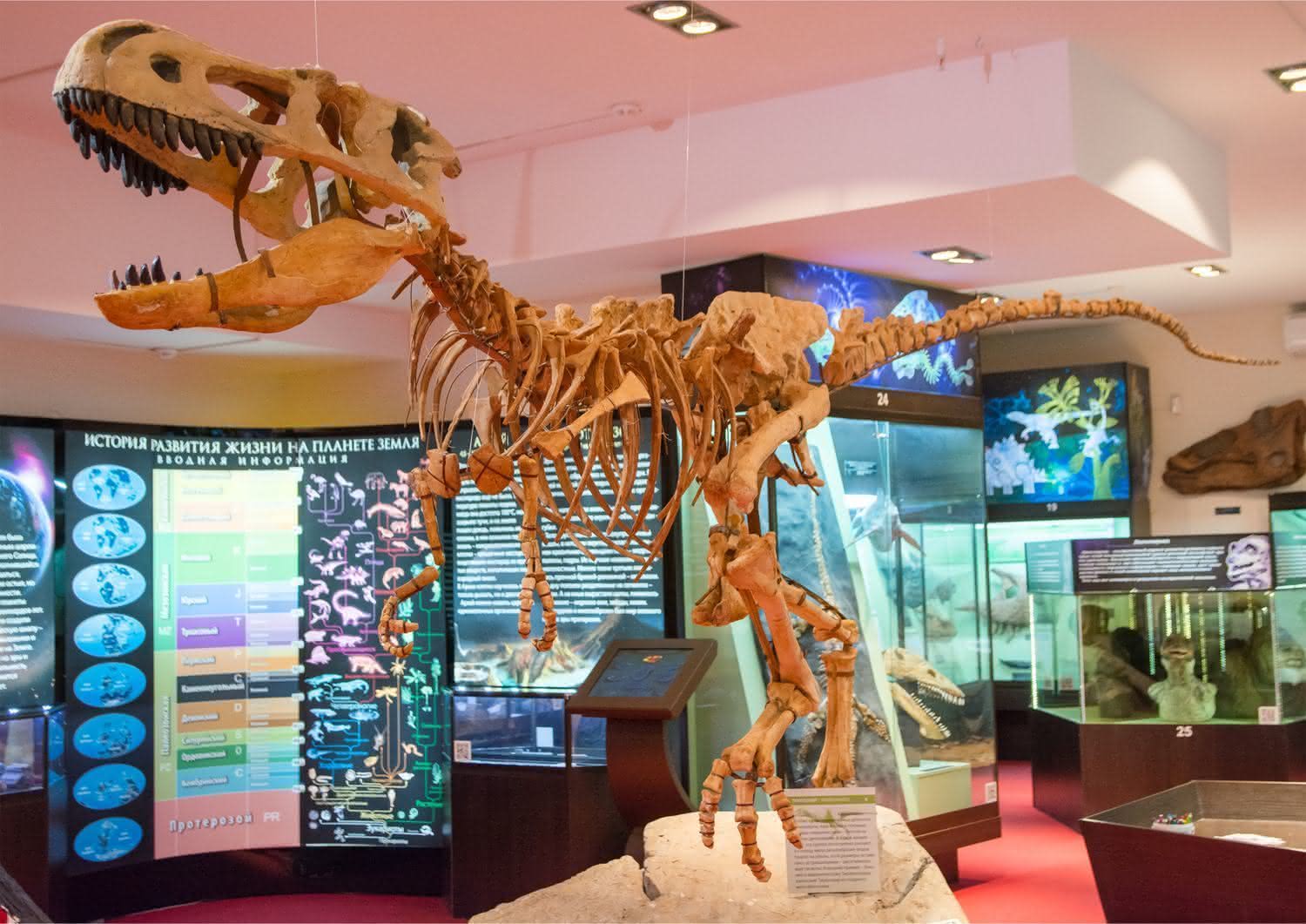 киров палеонтологический музей