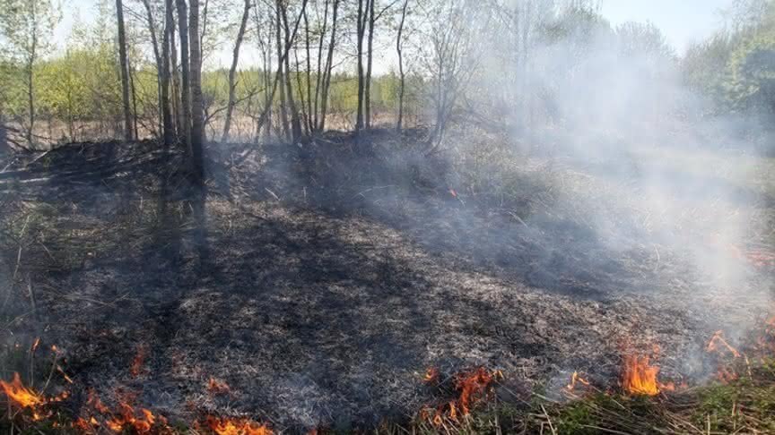 В Кировской области сохранится высокая пожарная опасность