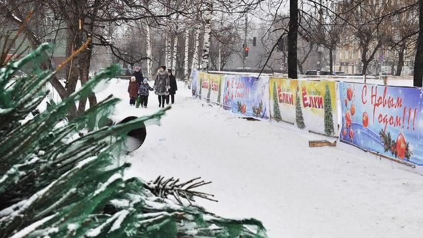 
        Ёлочные базары в Кирове начнут работу с 20 декабря
      