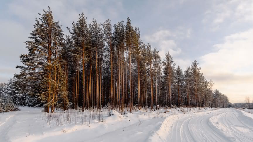 
        Погода в Кировской области берёт курс на морозы
      
