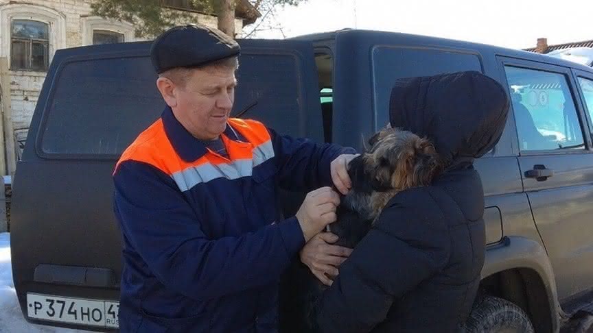 В центре города ветеринары сделают бесплатные прививки домашним животным