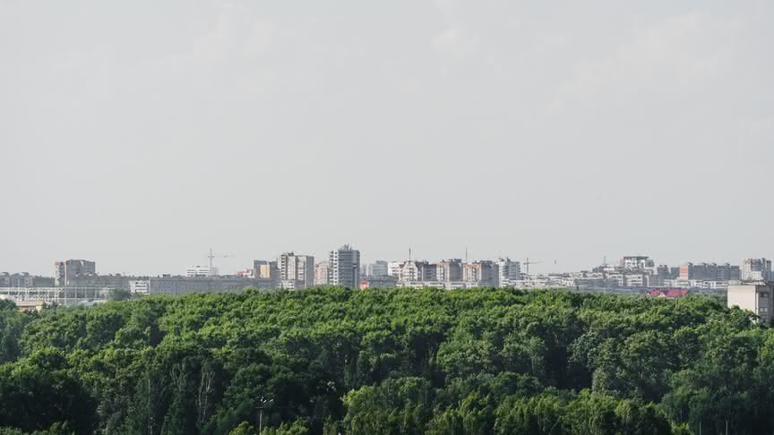 14 июля в Кировской области может прогреться до +36°С