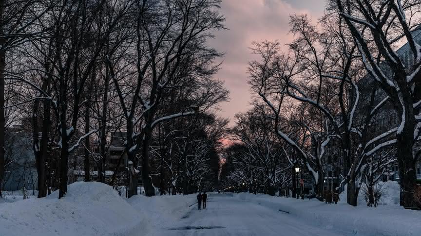 В Кировской области пройдут обильные снегопады